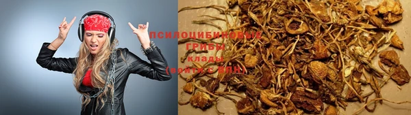 сатива Мегион