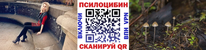 Галлюциногенные грибы GOLDEN TEACHER  Купить закладки  Кочубеевское 